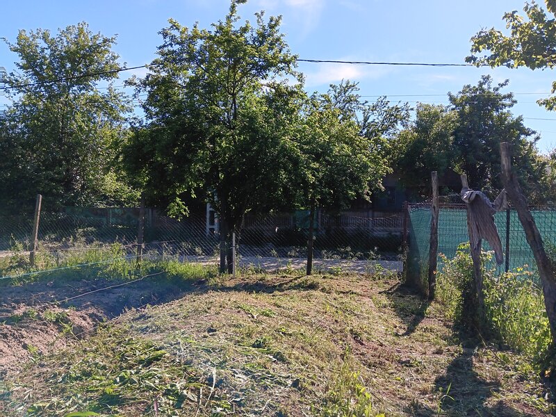 Mereni de Sus Teleorman Teren intravilan 700 mp la 55km de Bucuresti